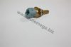 AUTOMEGA 1013380458 Sensor, coolant temperature